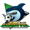 Away Team Logo