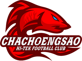 Home Team Logo