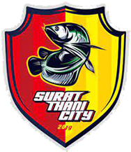 Away Team Logo